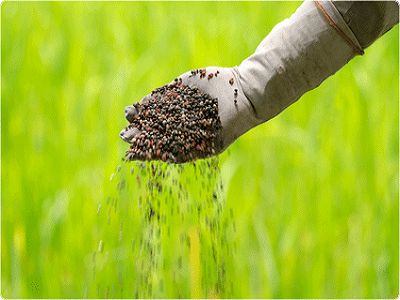 India Phosphatic Fertilizer Market