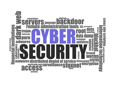 Image result for cyber security check images