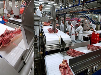 Pork Meat Processing Plant in India