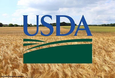 USDA is Now Accepting Applications for Farm Loans Online