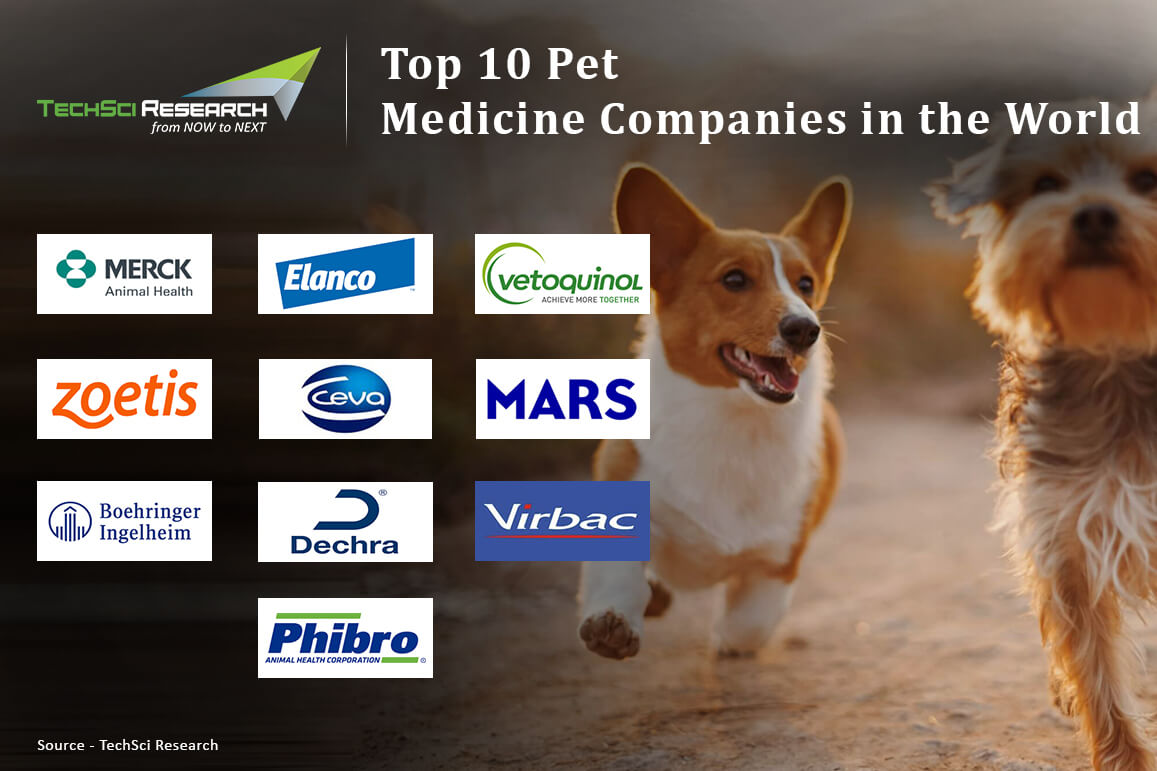 Top 10 Pet Medicine Companies in the World