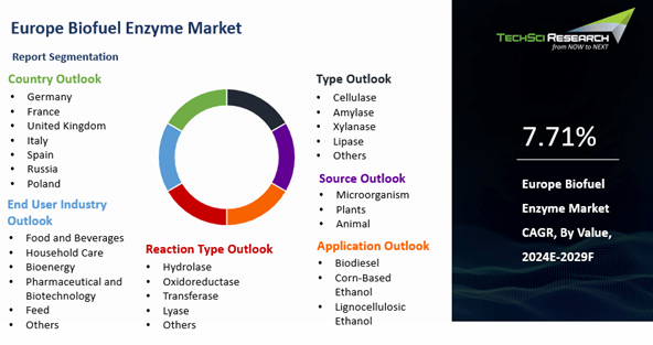 Europe Biofuel Enzyme Market By Share, Size & Forecast 2029F | TechSci ...