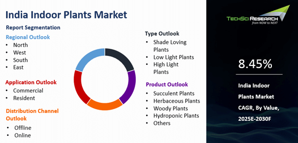 India Indoor Plants Market Size, Share, Trends, Growth and Forecast 2030