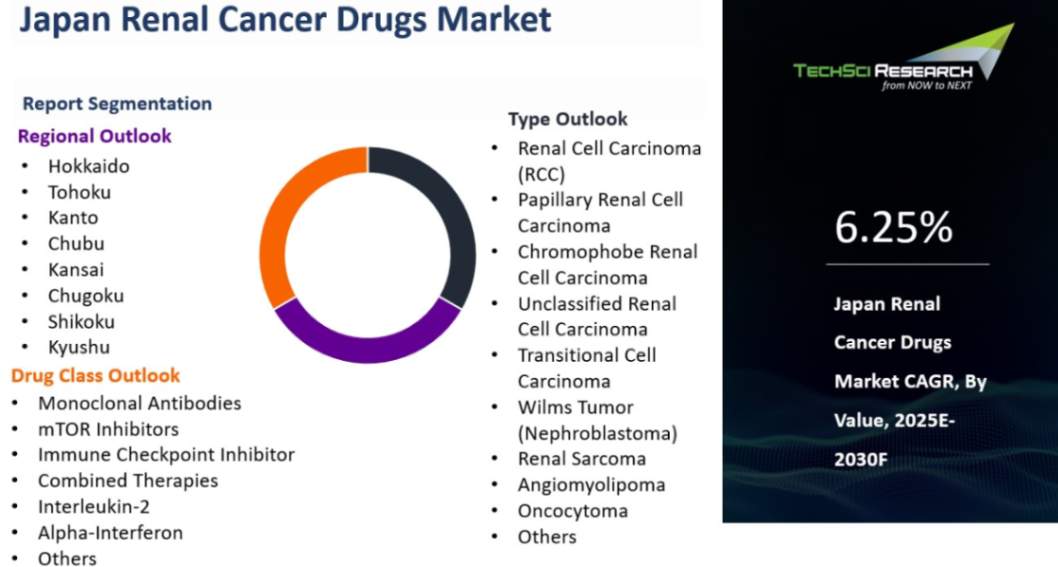 Japan Renal Cancer Drugs Market By Size, Share and Forecast 2030F ...