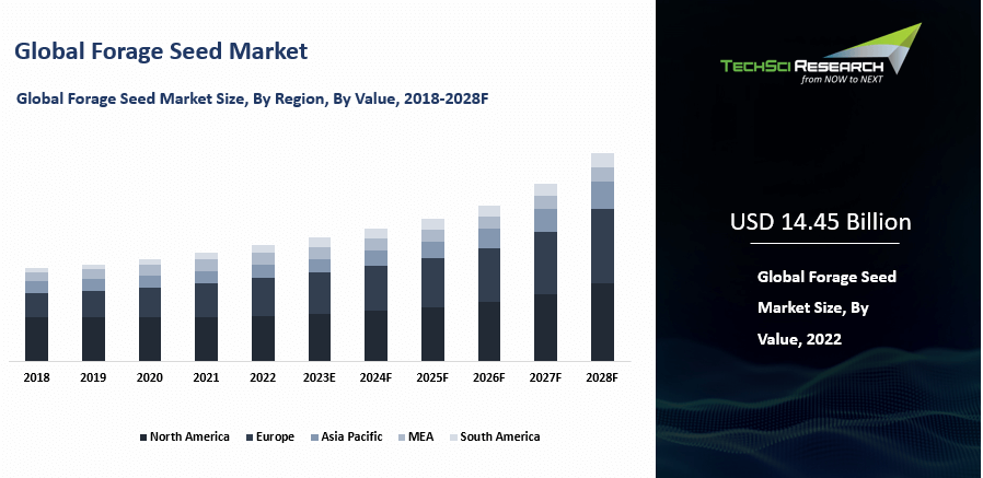 Forage Seed Market By Size, Growth, Trends and Forecast 2018-2028 ...