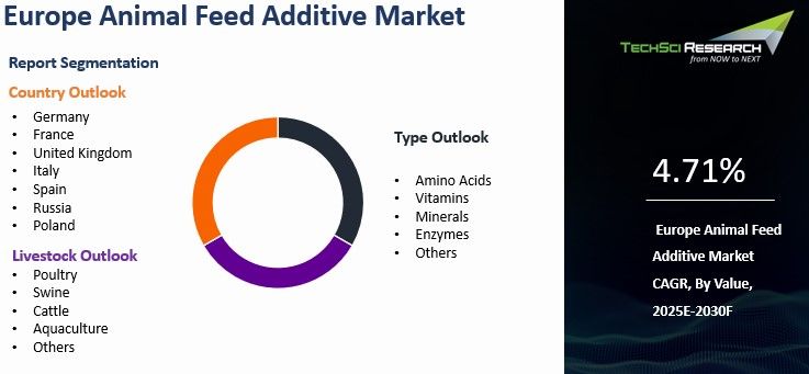 Europe Animal Feed Additive Market Size, Share & Forecast 2030F ...