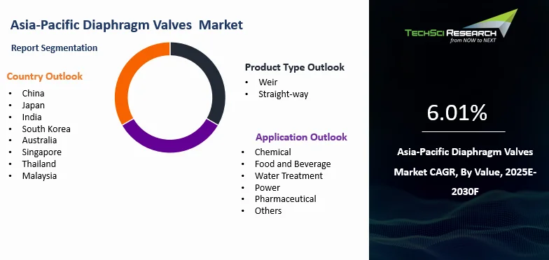 Asia-Pacific Diaphragm Valves Market Size, Report 2030F