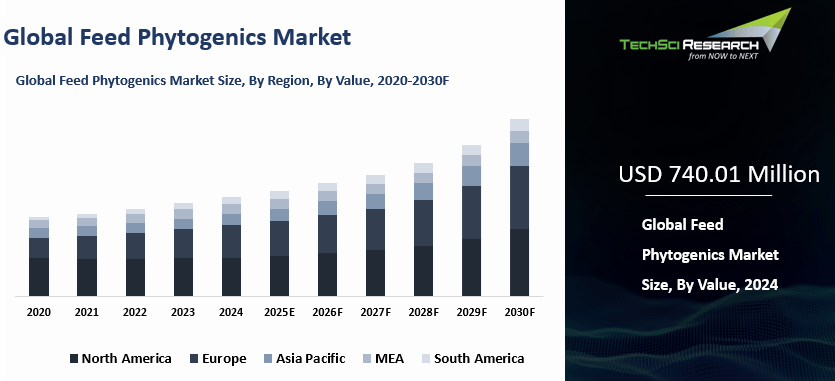 Feed Phytogenic Market By Size, Share, Growth and Forecast 2030