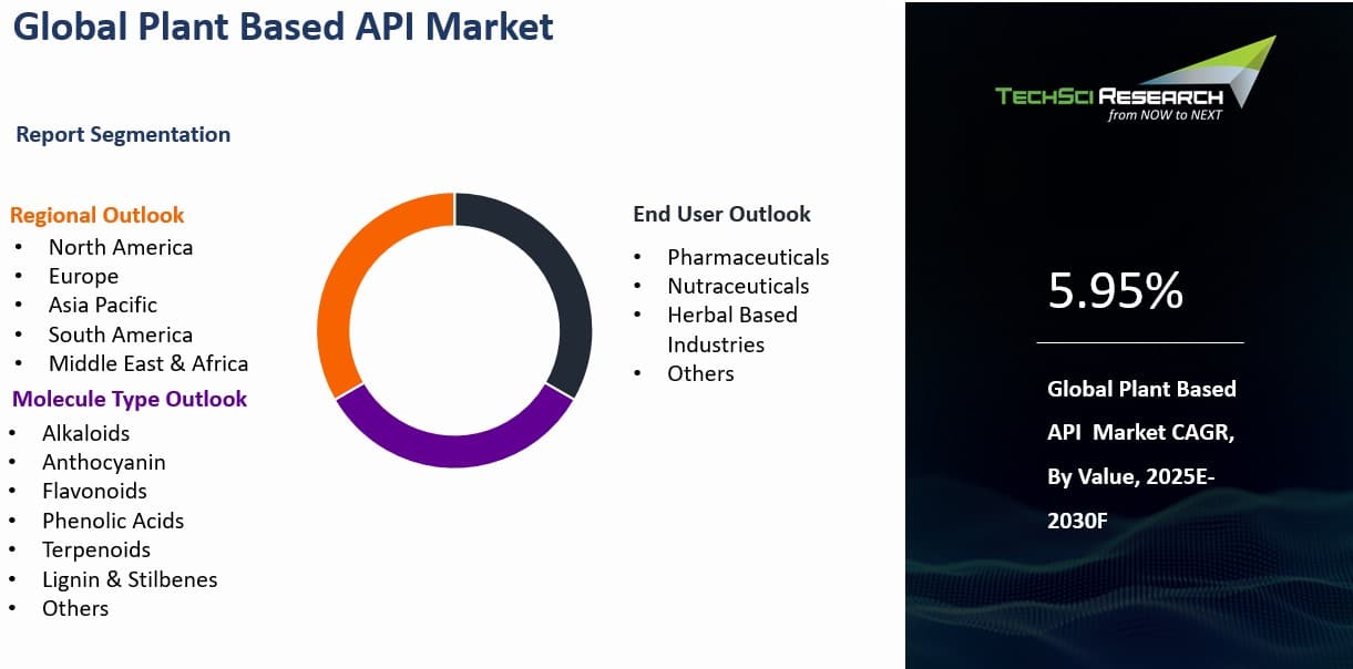 Plant Based API Market Size, Trends, Growth, Report 2030F