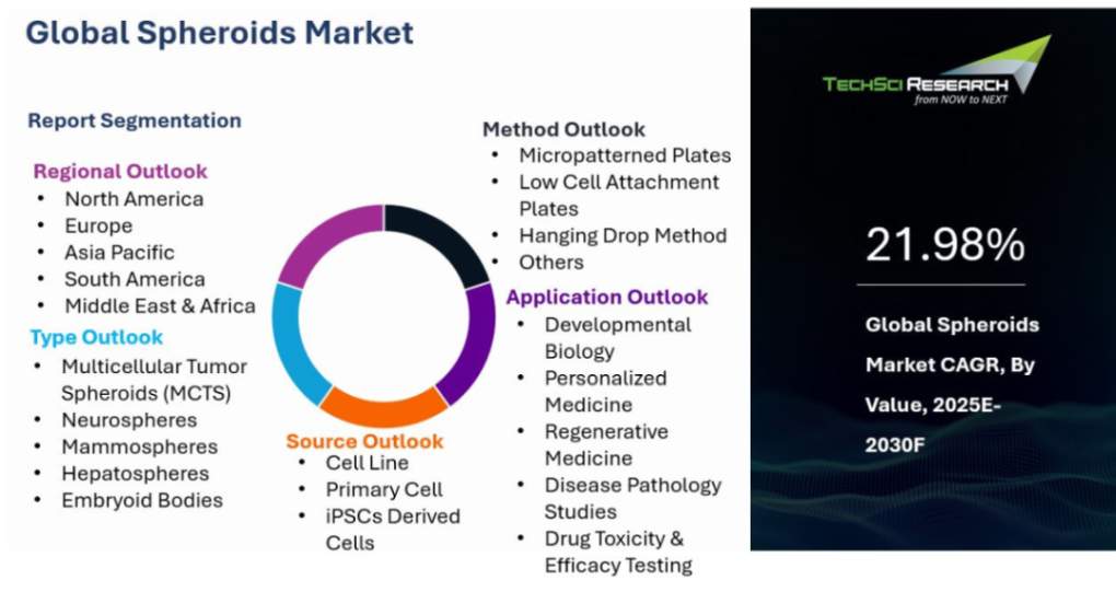 Spheroids Market Size, Growth and Forecast Report 2030F