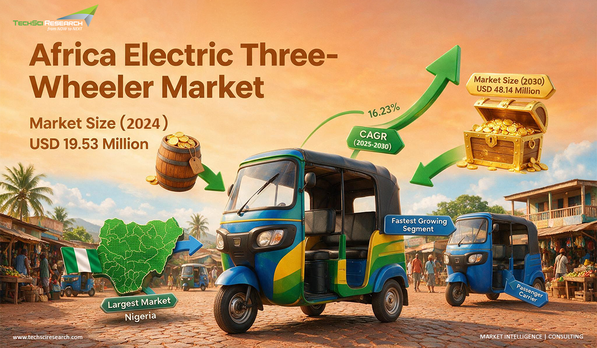 Africa Electric Three-Wheeler Market Infographics